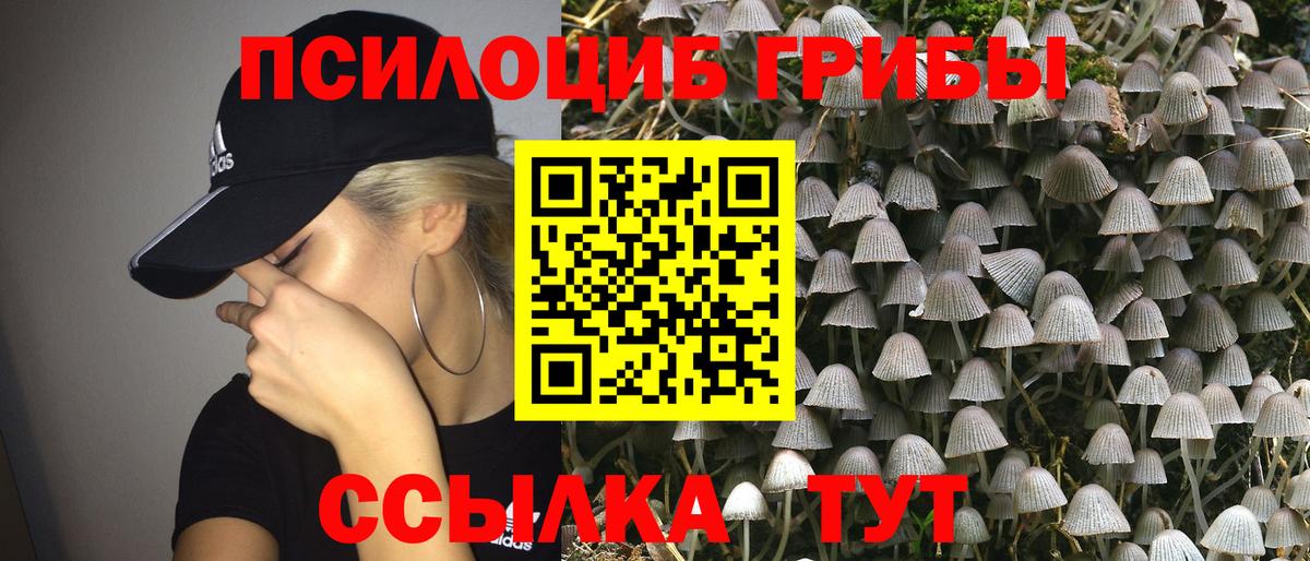 Южноуральск  Псилоцибиновые грибы Psilocybine cubensis  где найти наркотики  Вход с VPN  Галлюциногенные грибы мухоморы 